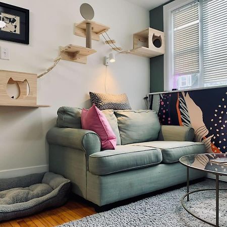 Ultimate Pet-Friendly Studio #1 With Patio At Doggy Digs Apartment Halifax Exterior photo