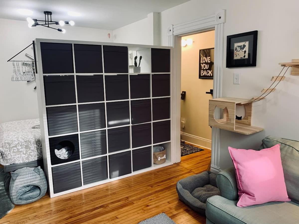 Ultimate Pet-Friendly Studio #1 With Patio At Doggy Digs Apartment Halifax Exterior photo