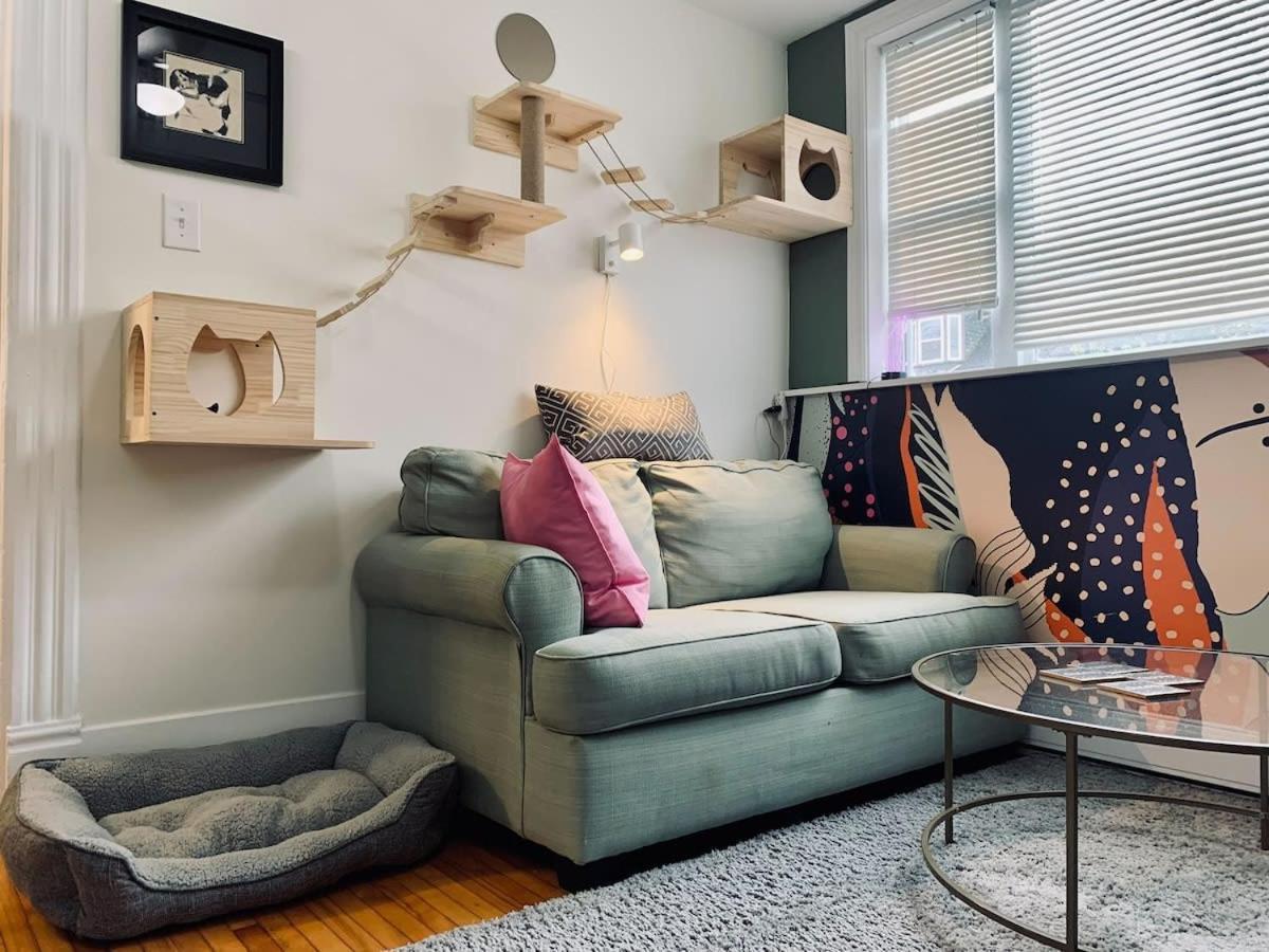 Ultimate Pet-Friendly Studio #1 With Patio At Doggy Digs Apartment Halifax Exterior photo